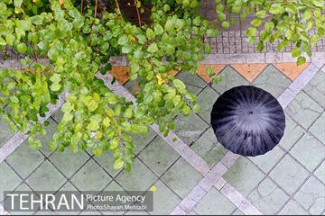 بارش باران پاییزی در تهران 23