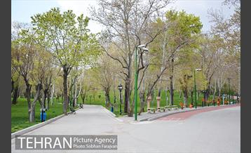 روز طبیعت متفاوت شهر تهران-1 19