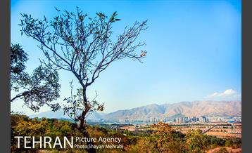 بوستان جنگلی چیتگر 1