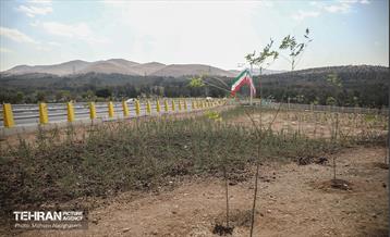 افتتاح دسترسی بزرگراه شهید سلیمانی به بزرگراه شهید یاسینی 29