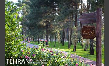 باغ راز هستی 26