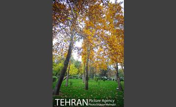 پاییز در بوستان ملت 11