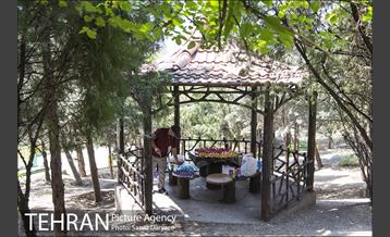 بوستان آزادگان 21