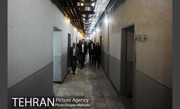 بازدید شهردار بلگراد از باغ موزه قصر 34