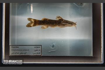 اقیانوس پارک  3