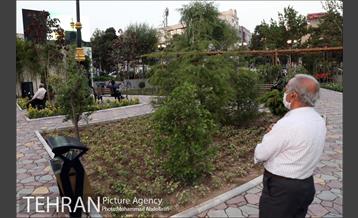 بازپیرایی بوستان قمربنی هاشم(ع)در شب میلاد امام رضا(ع) 16