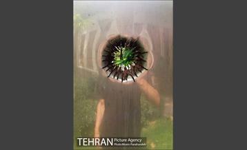 باغ موزه هنر ایرانی‎ 14