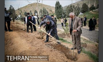 آئین کاشت نهال در بوستان جنگلی سرخه حصار 15