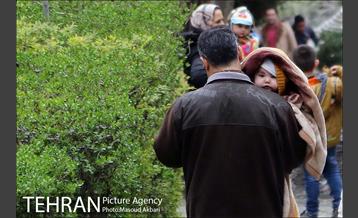 بوستان جمشیدیه در نوروز  31