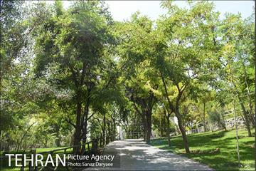 بوستان بهشت مادران 25
