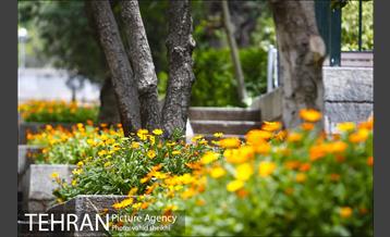 بوستان نیاوران 7