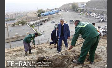 بازدید شهردار تهران از پروژه درختکاری کمربند سبز تهران  7