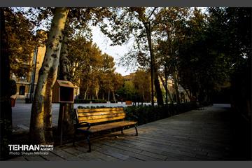 پاییز میدان مشق 4