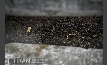 فیلتر سیگار زباله است 7