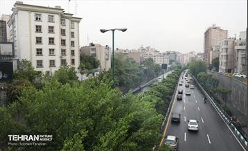 بارش باران بهاری در تهران - 1 7