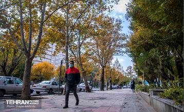 سمفونی رنگ های پاییزی 28