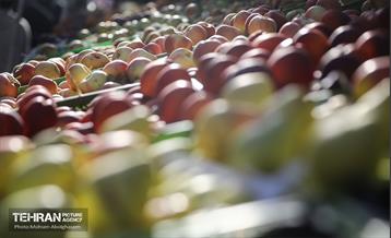 افتتاح ۲ بازار میوه و تره‌بار در تهران 33