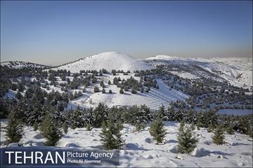طبیعت برفی تلو 23