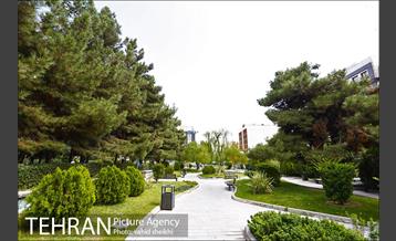 بوستان سنگی 11