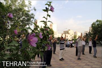 ورزش و نشاط صبحگاهی در بوستان های تهران‎ 18