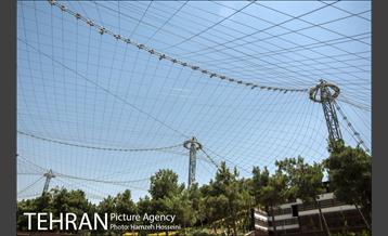 آخرین روزهای ساخت فاز2 باغ پرندگان 7