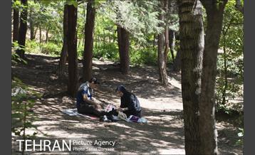 بوستان جمشیدیه‎ 17