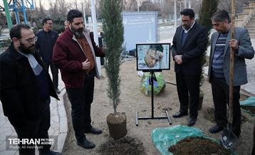 جشن درختکاری در منطقه 18 6