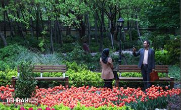 لاله‌ها میهمان باغ ایرانی 7