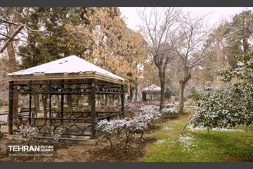 بارش برف زمستانی در منطقه 14