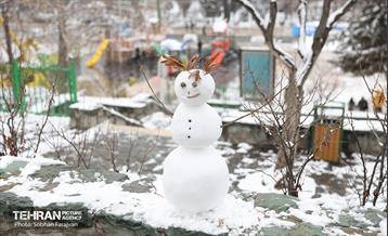 روز برفی تهران - 1 11
