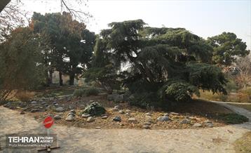 بازدید گروه های دوام مناطق از باغ گیاه شناسی ملی 18