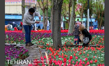 جشنواره لاله‌ها در بوستان زندگی محله هرندی 17