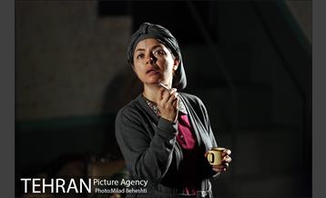 نمایش اثر پرتوهای گاما بر گل های همیشه بهار 2