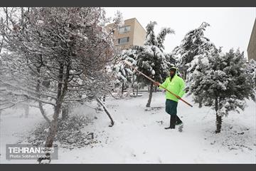 صبح آدینه برفی  26