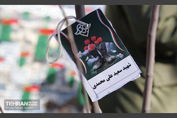 آیین کاشت 1310 نهال در منطقه 5 9