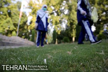 طرح پاکسازی پارک شهر تهران از فیلترهای سیگار  14