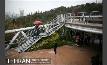 بارش باران بهاری در تهران 32