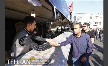 پیاده روی جامندگان اربعین حسینی (ع) در تهران 20