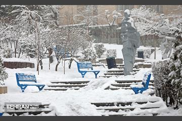 بارش برف در تهران 16