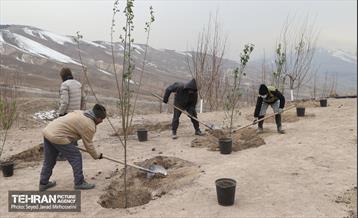 آیین روز درخت‌کاری و پایان پروژه کاشت ۲۵۰۰ هکتار کمربند سبز پایتخت  10