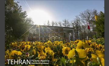 قبور شهدای غواص در هفته دفاع مقدس 19