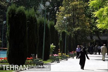 لاله های بهاری پارک شهر 6