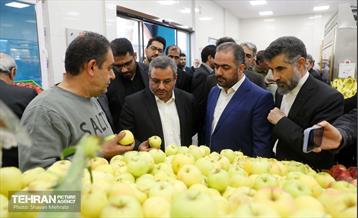 بهره‌برداری از پروژه‌های خدمات شهری در منطقه ۱۷ 29