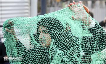 اجراهای خیابانی جشنواره تئاتر فجر 5