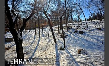 فصل زمستان در بوستان ملت 11