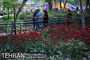 باغ ایرانی (بوستان مهندس مختاری) 46