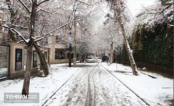 روز زمستانی تهران 15