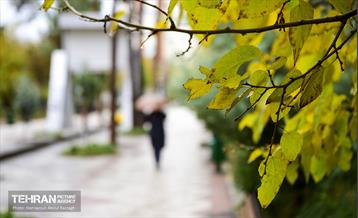 یک روز پاییزی در منطقه ۱۴