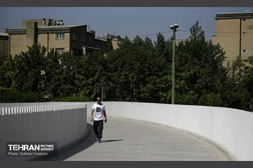 پل تندرستی 6