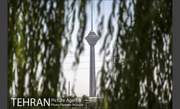 بوستان نهج البلاغه 16